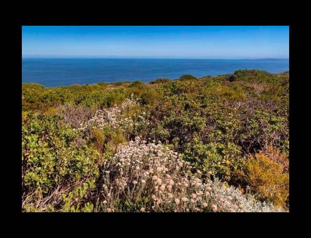 LAND FOR SALE IN VILLAGE ON SEA